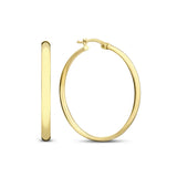 Elegant Gold Noa Serane Earrings